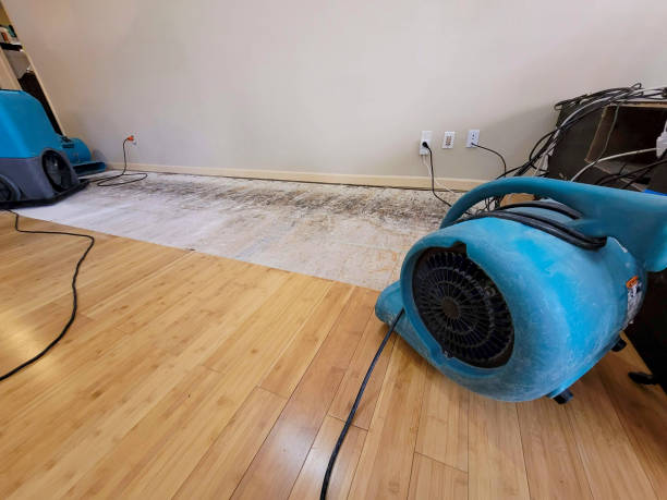 Professional Basement Flood Cleanup technician working in Fairview, NY